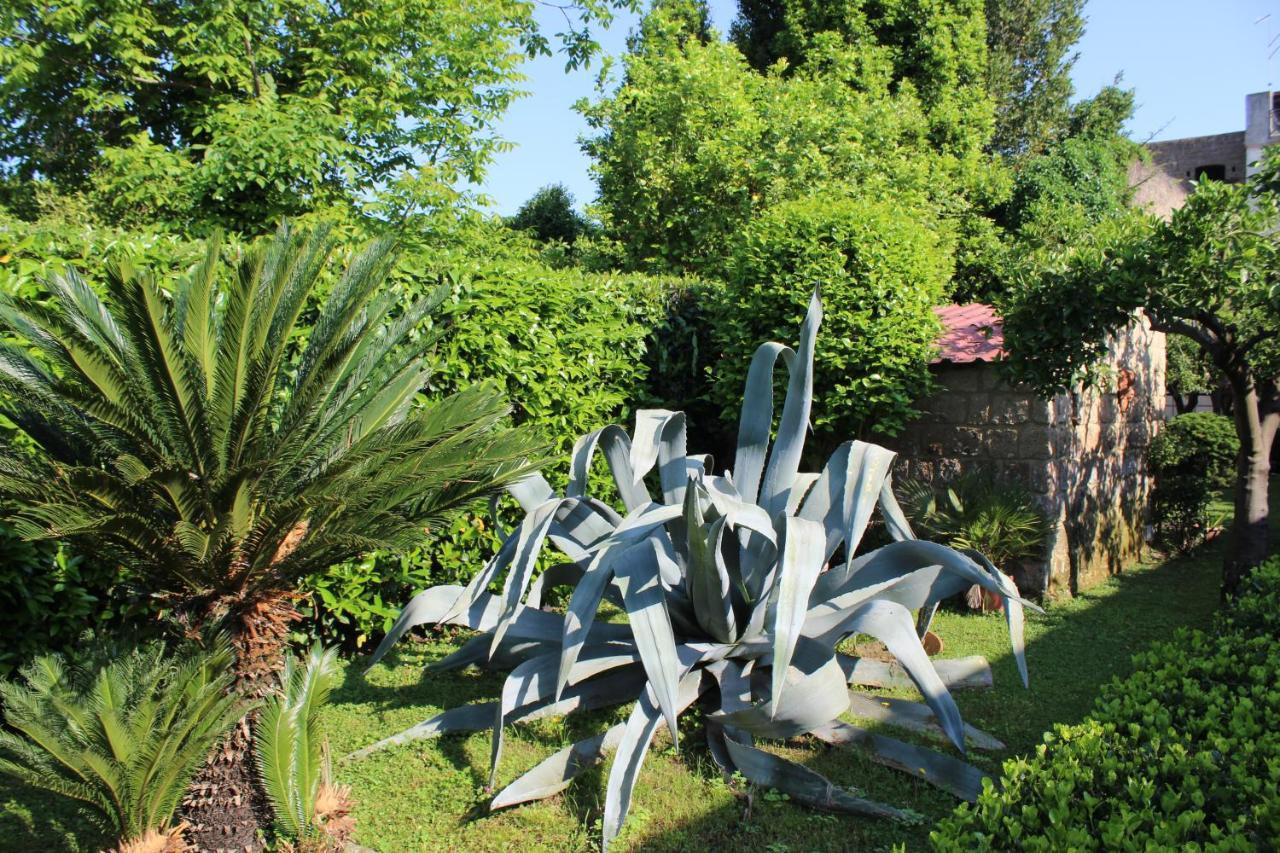 Il Giardino Degli Agrumi Caserta Exterior photo
