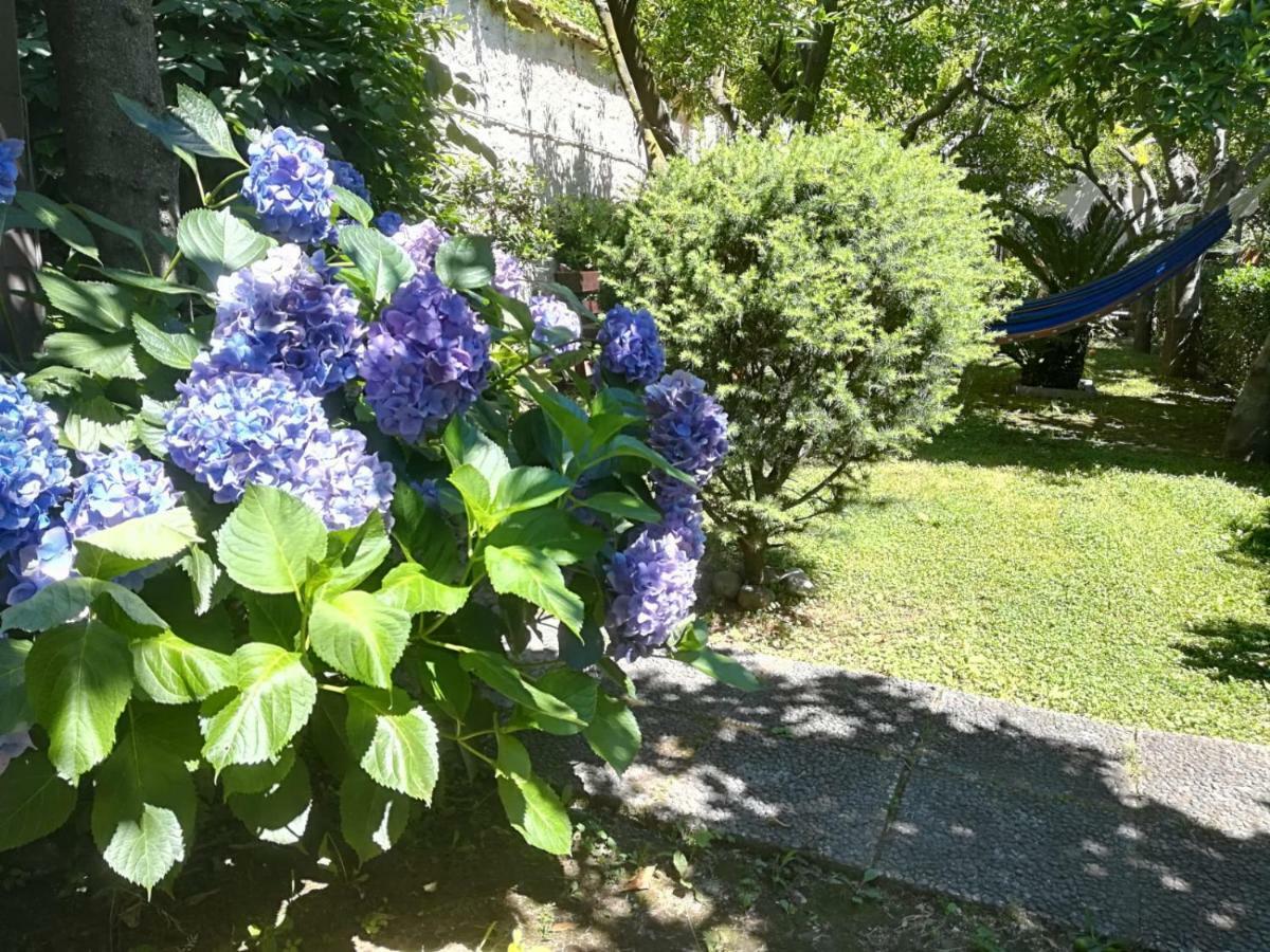 Il Giardino Degli Agrumi Caserta Exterior photo