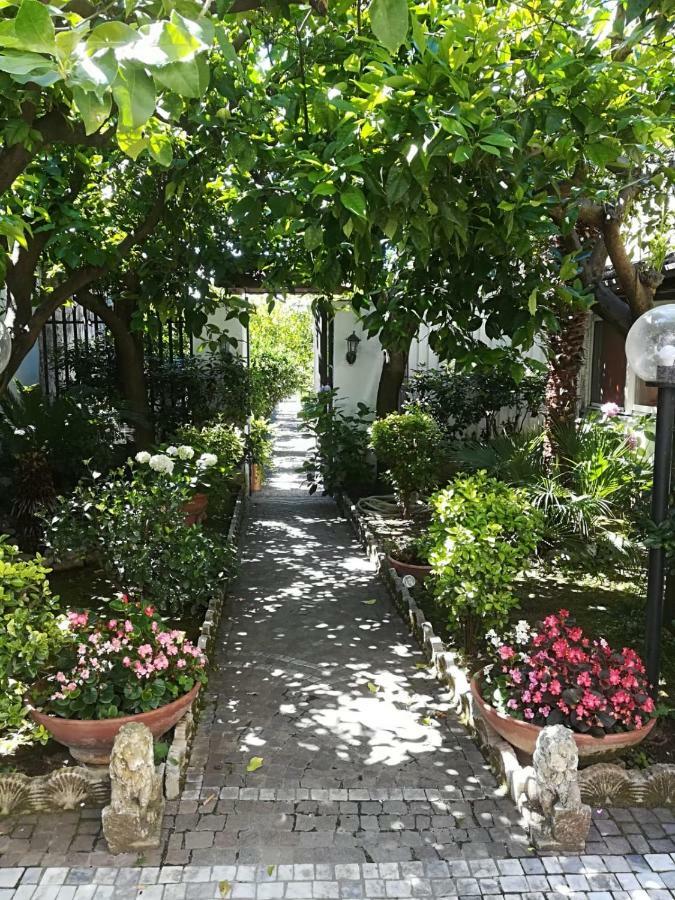 Il Giardino Degli Agrumi Caserta Exterior photo